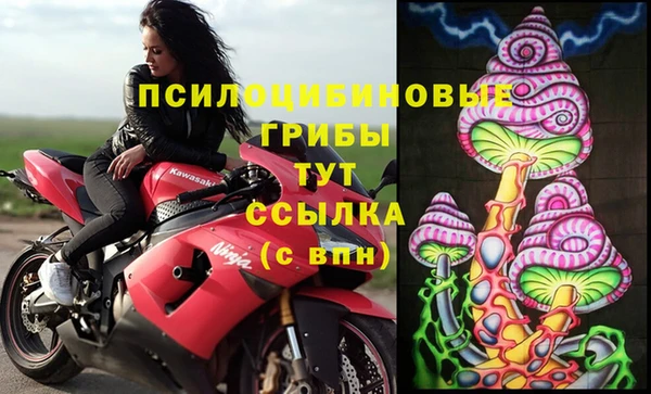 PSILOCYBIN Елизово