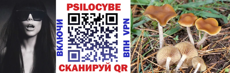 Галлюциногенные грибы Magic Shrooms  Купить закладки  Мариинск 